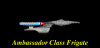 ambassadorclass.gif (7517 bytes)