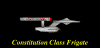 constitutionclass.gif (6852 bytes)